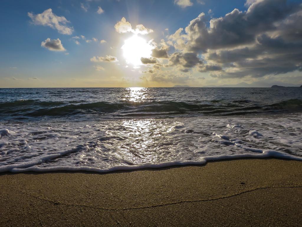 Cairns Beaches Flashpackers بالم كوف المظهر الخارجي الصورة