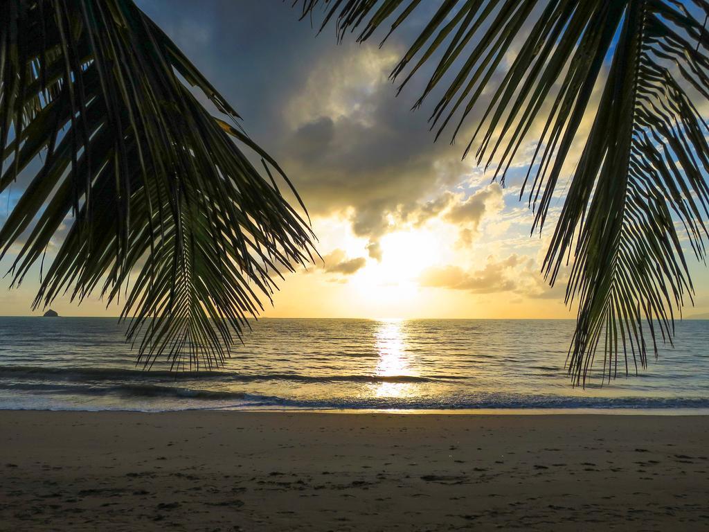 Cairns Beaches Flashpackers بالم كوف المظهر الخارجي الصورة