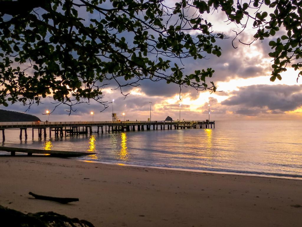 Cairns Beaches Flashpackers بالم كوف المظهر الخارجي الصورة