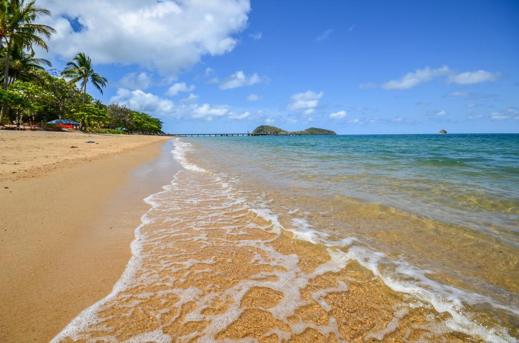 Cairns Beaches Flashpackers بالم كوف المظهر الخارجي الصورة