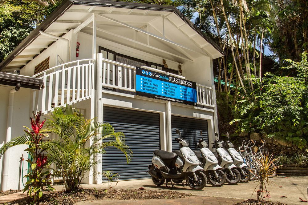 Cairns Beaches Flashpackers بالم كوف المظهر الخارجي الصورة